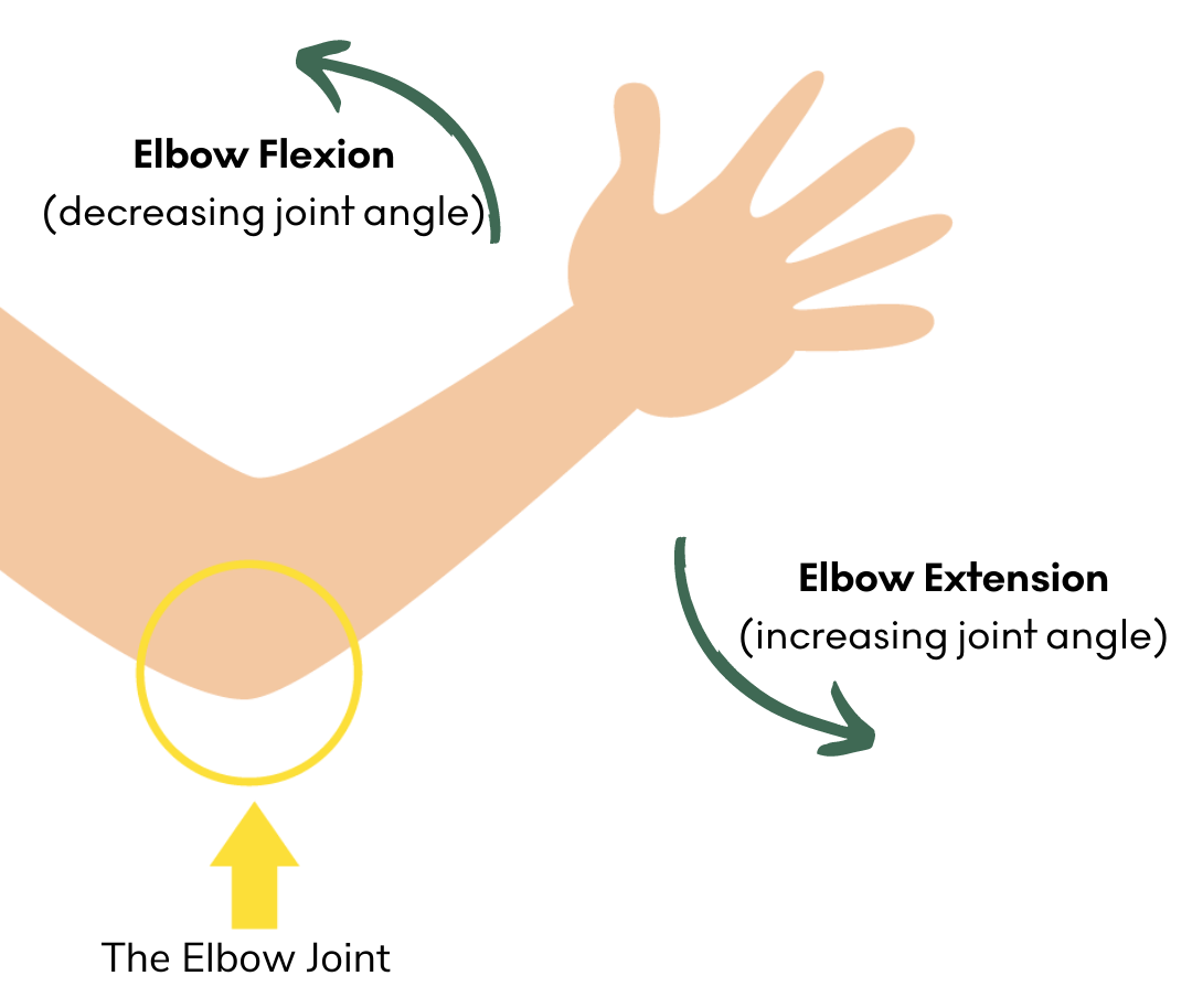 Physical Therapy Key Terms OneStep Digital Physical Therapy